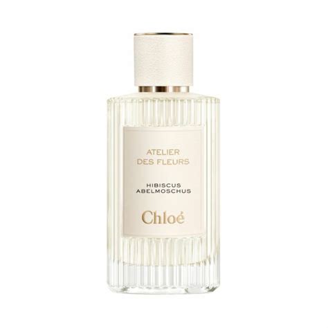 chloe parfum hibiscus|Atelier des Fleurs Hibiscus Abelmoschus .